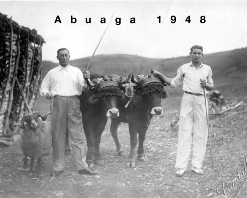 abuaga-1948